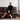 Balancing Classic and Contemporary Styles
